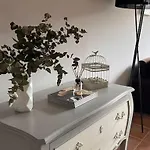 Benedettamolinaseca Vut Molinaseca