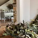 Benedettamolinaseca Vut Casa vacanze Molinaseca