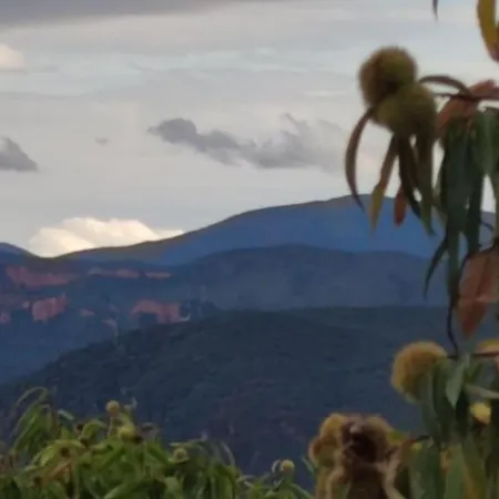 Benedettamolinaseca Vut Molinaseca