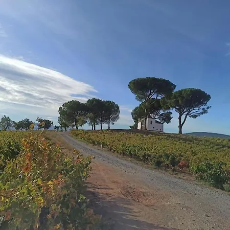 Benedettamolinaseca Vut 度假居 *