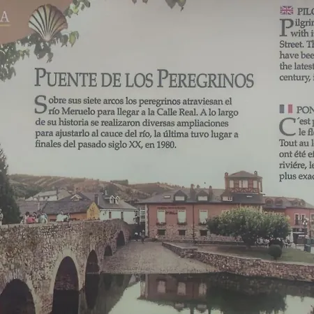 Benedettamolinaseca Vut *