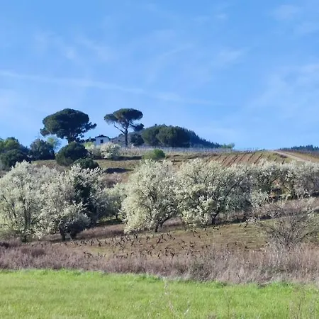 Benedettamolinaseca Vut 度假居 *