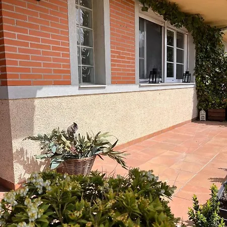 Benedettamolinaseca Vut 莫利纳塞卡