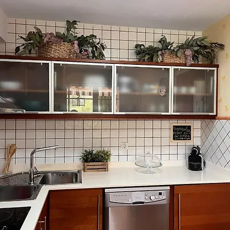 Benedettamolinaseca Vut *