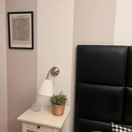 Benedettamolinaseca Vut * 몰리나세카