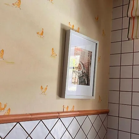 Benedettamolinaseca Vut Molinaseca
