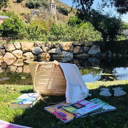 Benedettamolinaseca Vut *