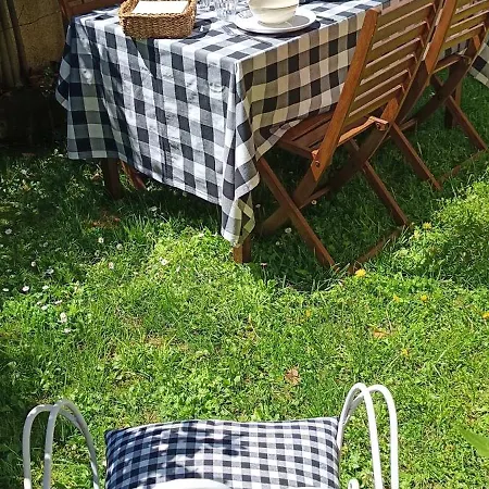 Benedettamolinaseca Vut 莫利纳塞卡