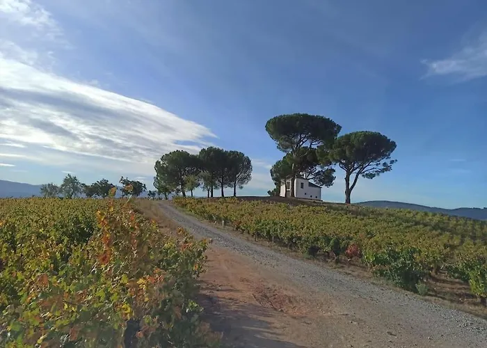 Benedettamolinaseca Vut Hébergement de vacances *