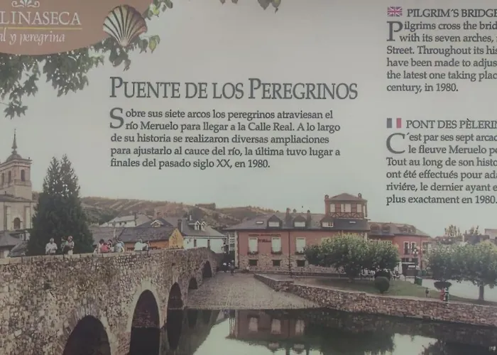 Benedettamolinaseca Vut *