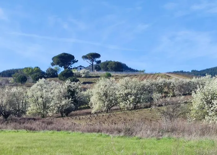 Benedettamolinaseca Vut Hébergement de vacances *