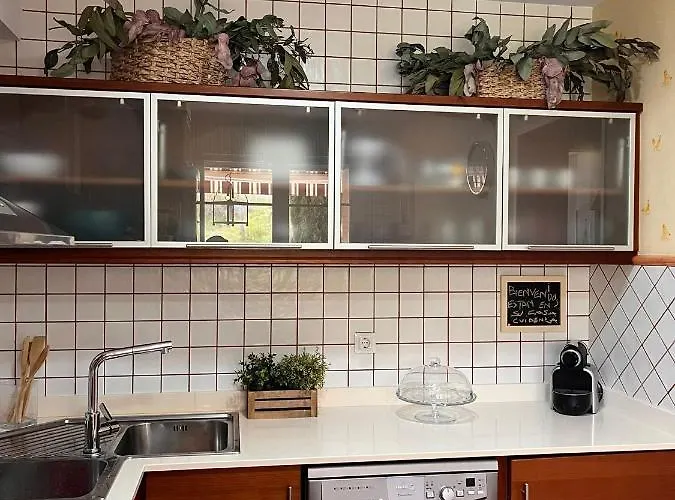 Benedettamolinaseca Vut *