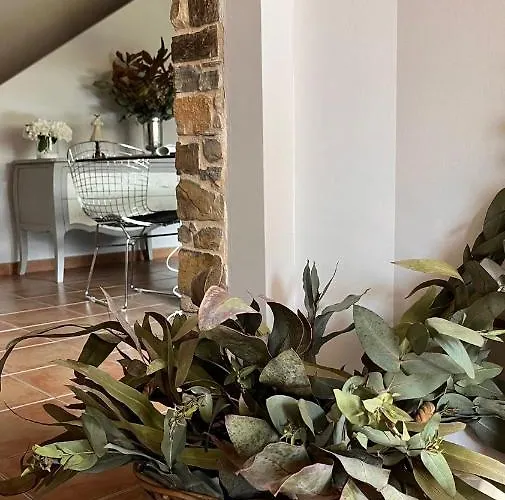 Benedettamolinaseca Vut 펜션 몰리나세카