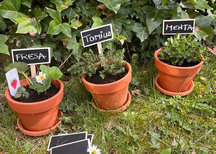 Benedettamolinaseca Vut