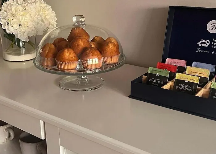 Benedettamolinaseca Vut 몰리나세카