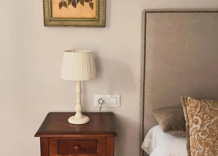 Benedettamolinaseca Vut *