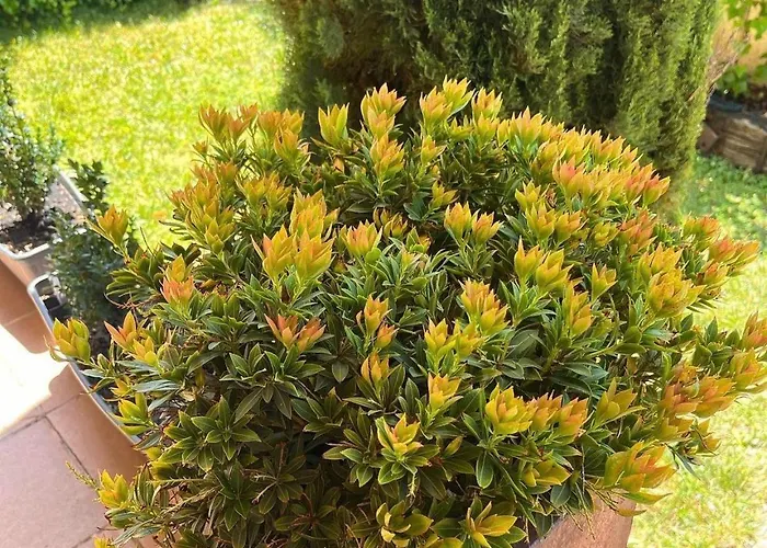 펜션 Benedettamolinaseca Vut *