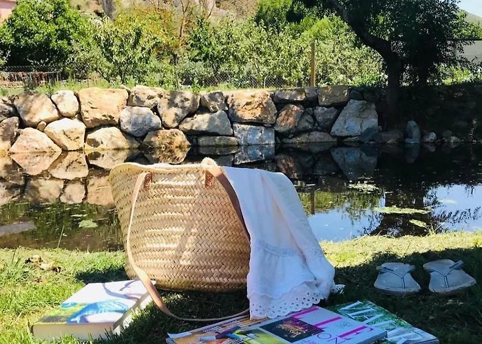 Benedettamolinaseca Vut *