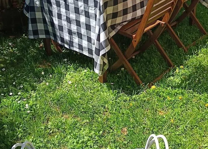 Benedettamolinaseca Vut Molinaseca